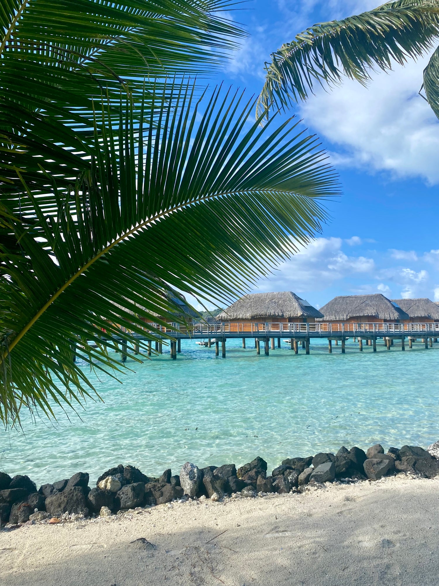 Voyages & Organisation 🌍